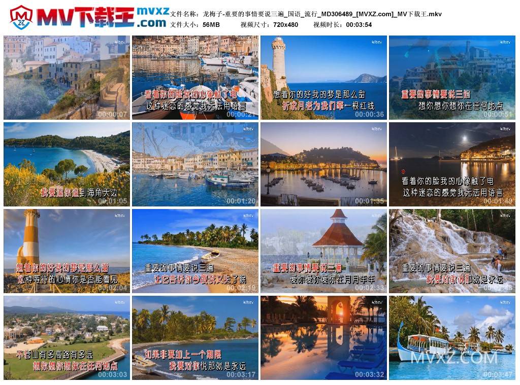 龙梅子-重要的事情要说三遍_国语_流行_MD306489
